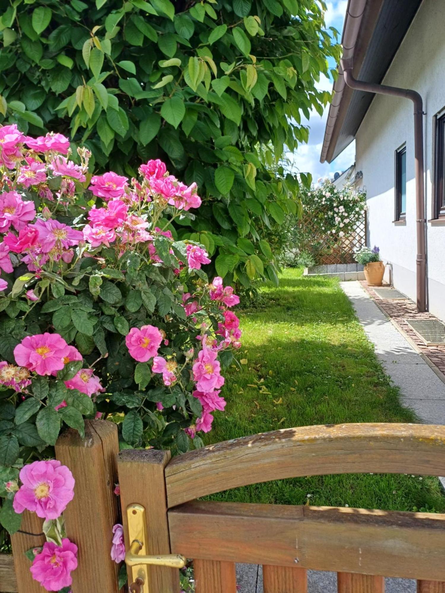 Ferienwohnung Unter Dem Sonnberg アウッゲン エクステリア 写真